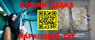 МДПВ Рузаевка