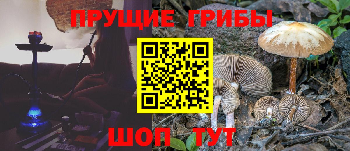 Галлюциногенные грибы ЛСД Оренбург