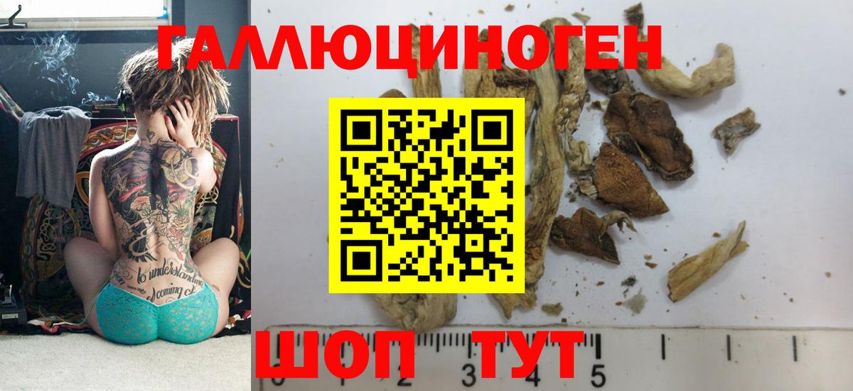 Оренбург  Галлюциногенные грибы Cubensis  Псилоцибиновые грибы Magic Shrooms  Вход с VPN 